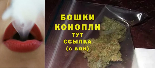 дживик Аркадак