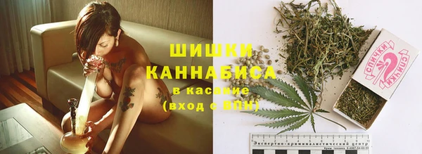 крисы Арсеньев
