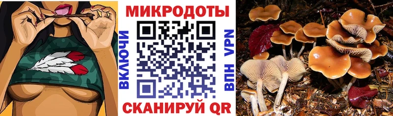 Купить где  Куртамыш  Галлюциногенные грибы ЛСД 